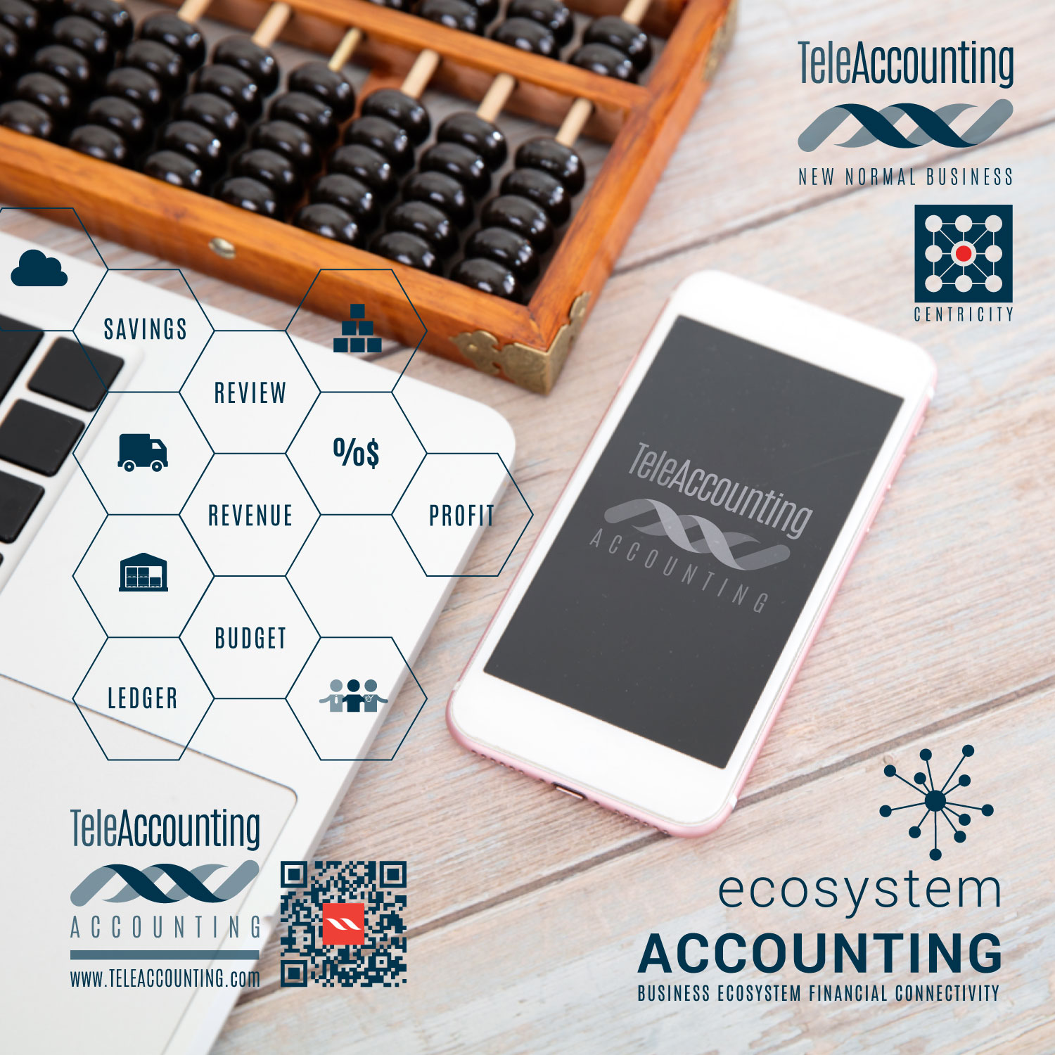 TeleAccounting Realtime Accounting Platform